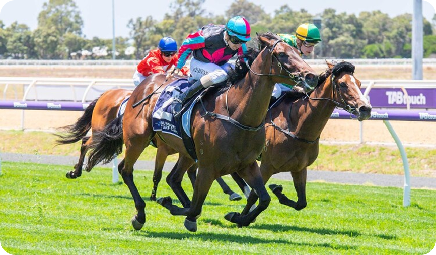 Horse racing photo 2